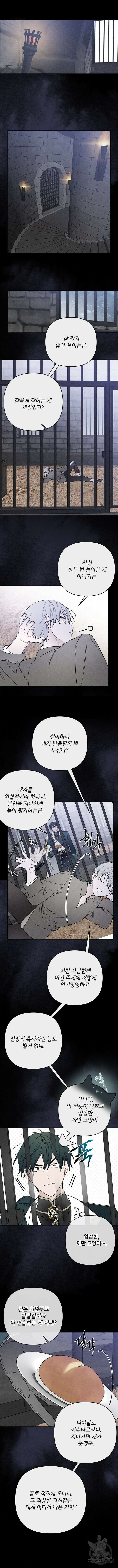 그 기사가 레이디로 사는 법 112화 8