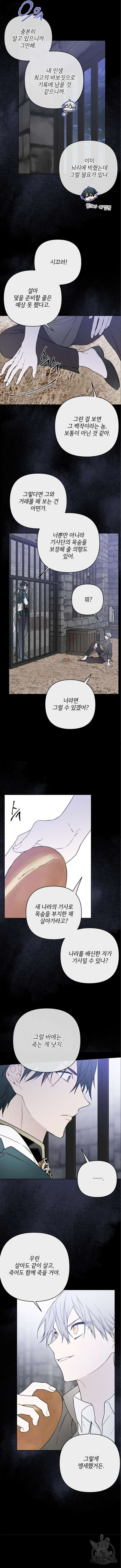 그 기사가 레이디로 사는 법 112화 9