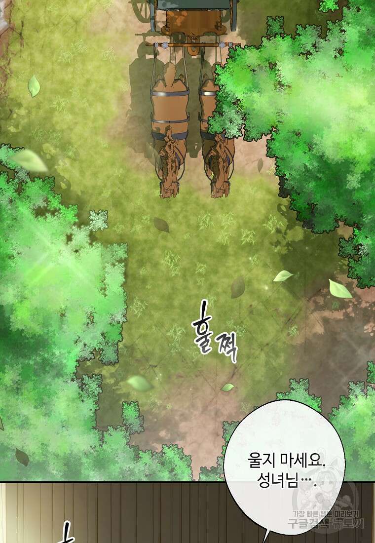 후원에 핀 제비꽃 6화 4