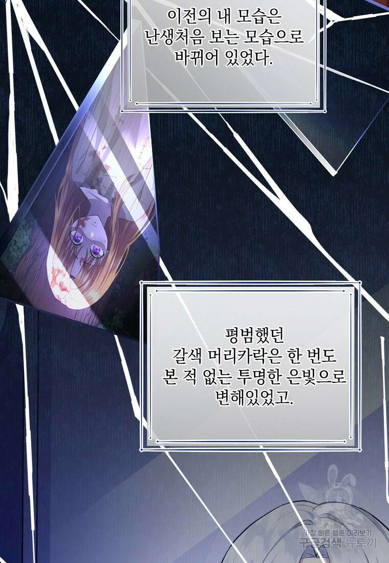 후원에 핀 제비꽃 6화 8