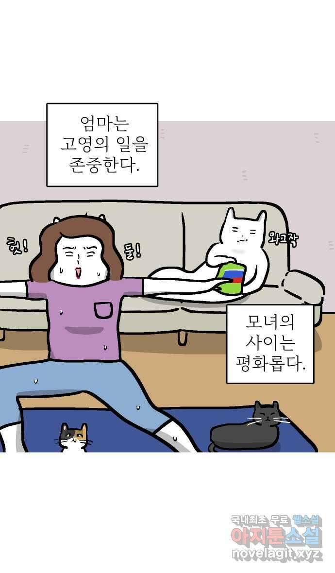 애옹식당 마지막화 7
