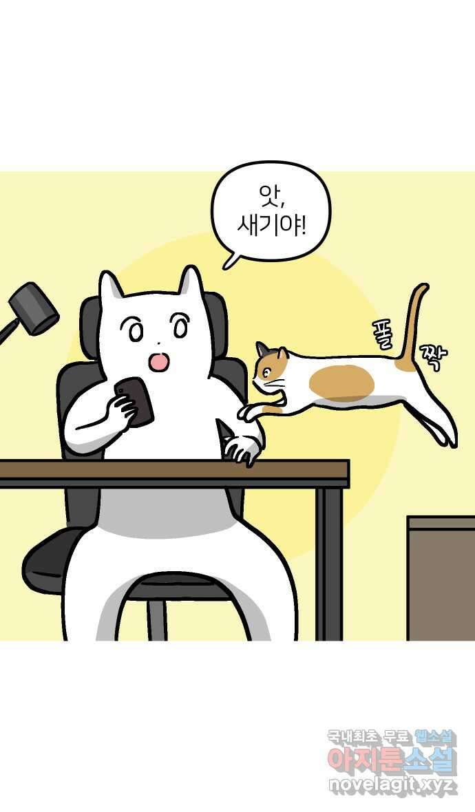 애옹식당 마지막화 14