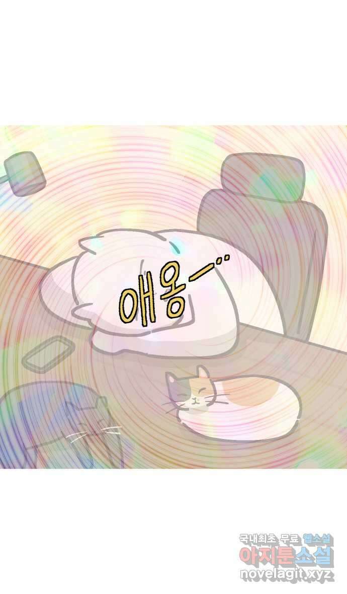 애옹식당 마지막화 19