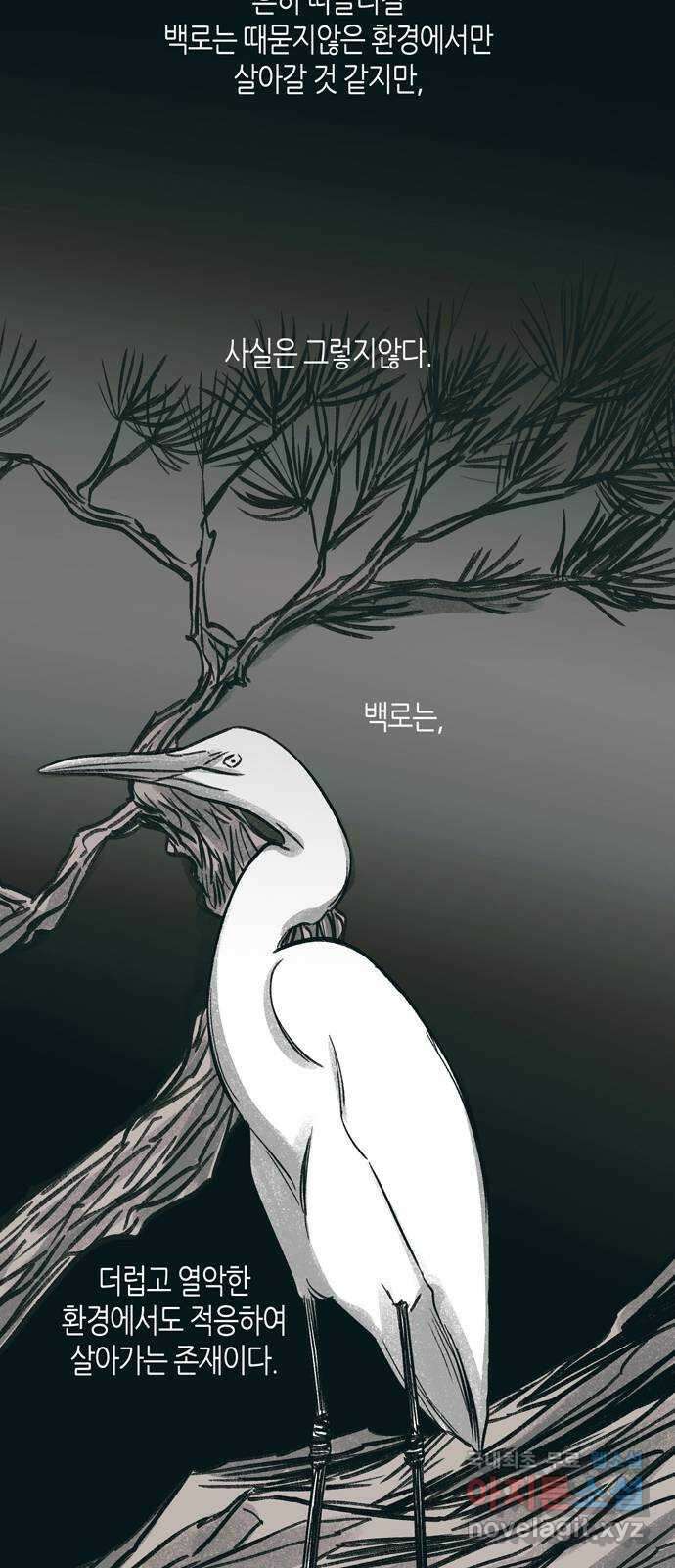 소곤소곤2 백로 31