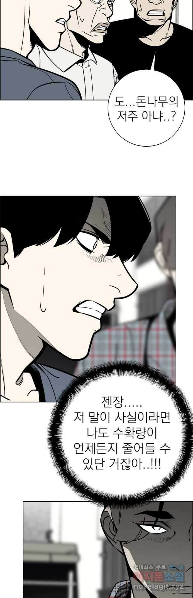 돈나무 41화 2