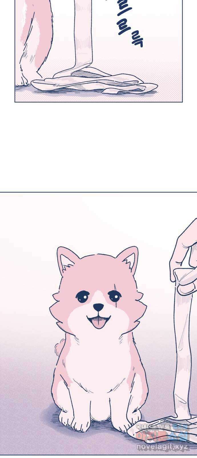 반려짐승 2화 2