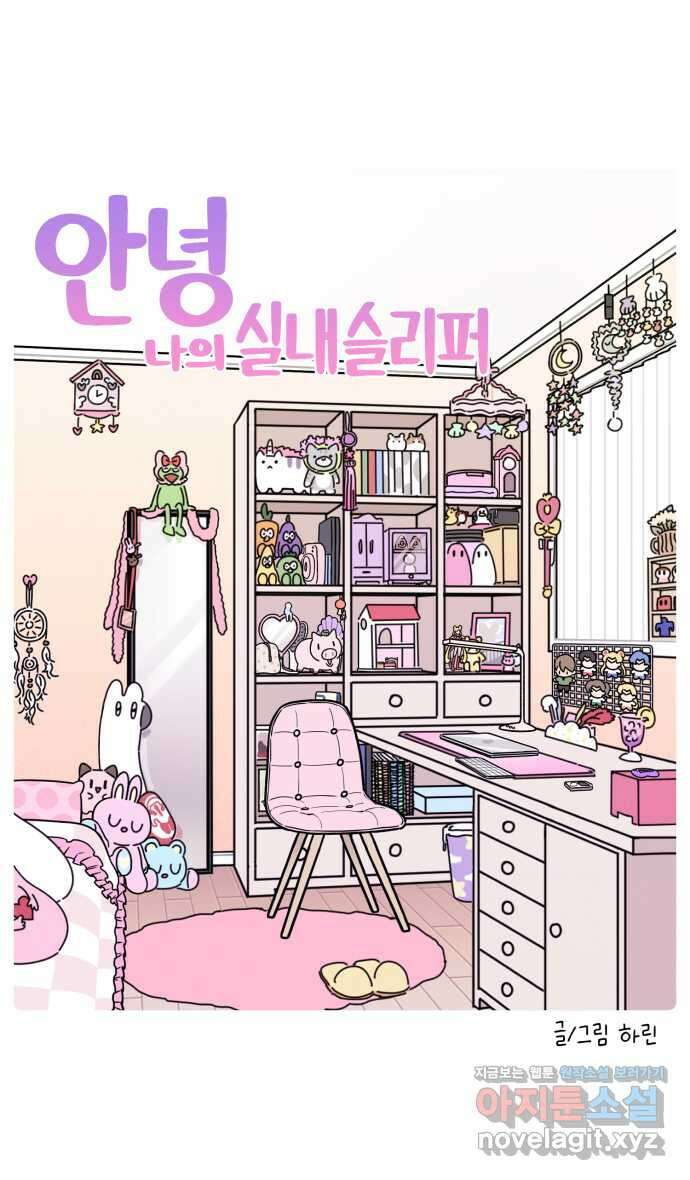 안녕, 나의 수집 106. 실내 슬리퍼 4