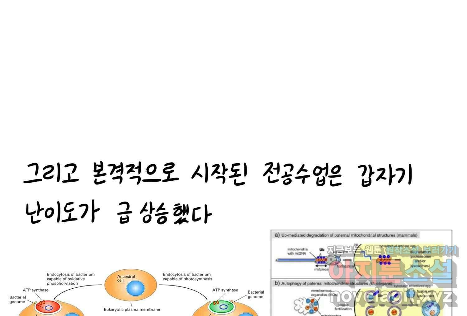 재활용 머학생 42화 1학년 2학기 48