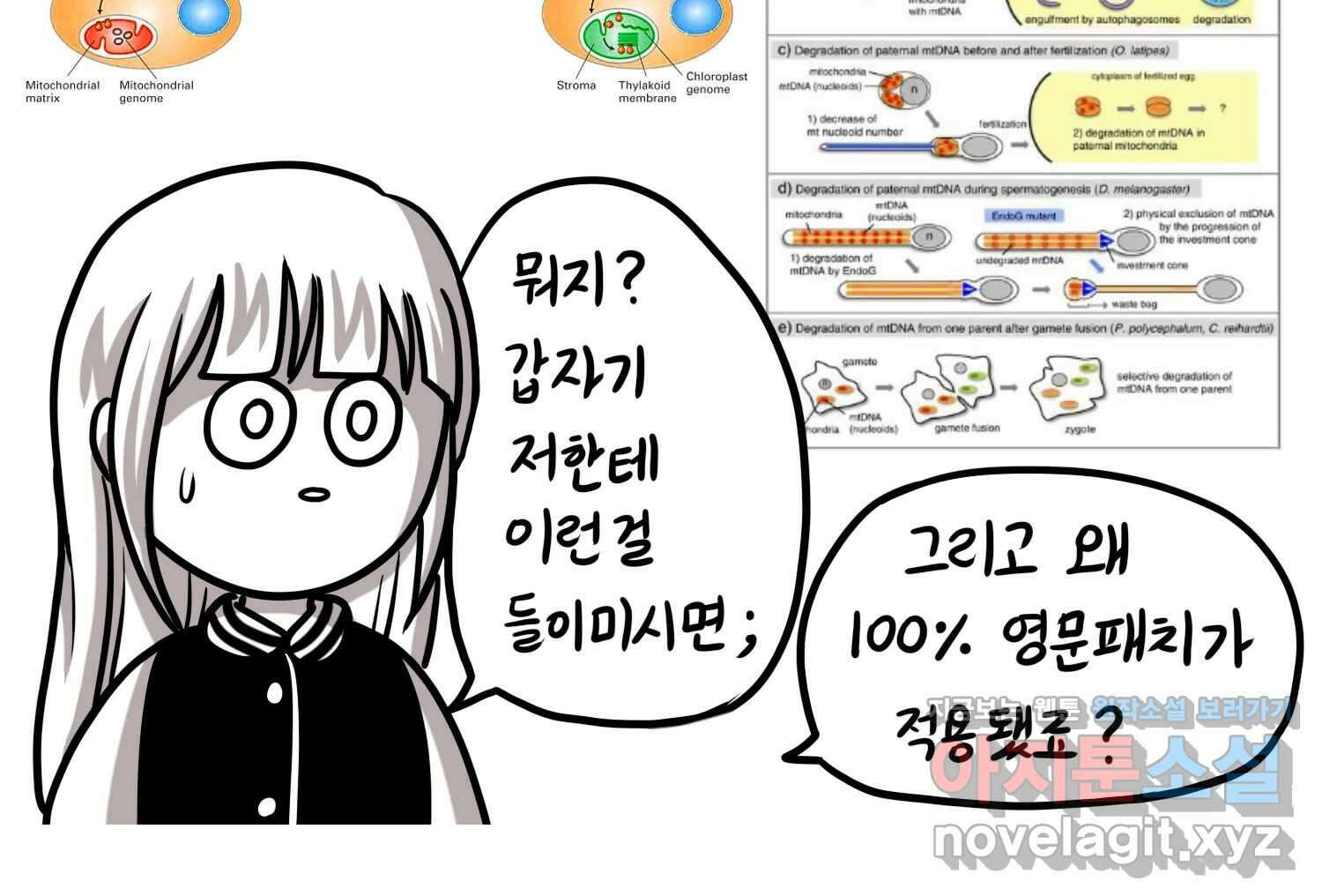 재활용 머학생 42화 1학년 2학기 49