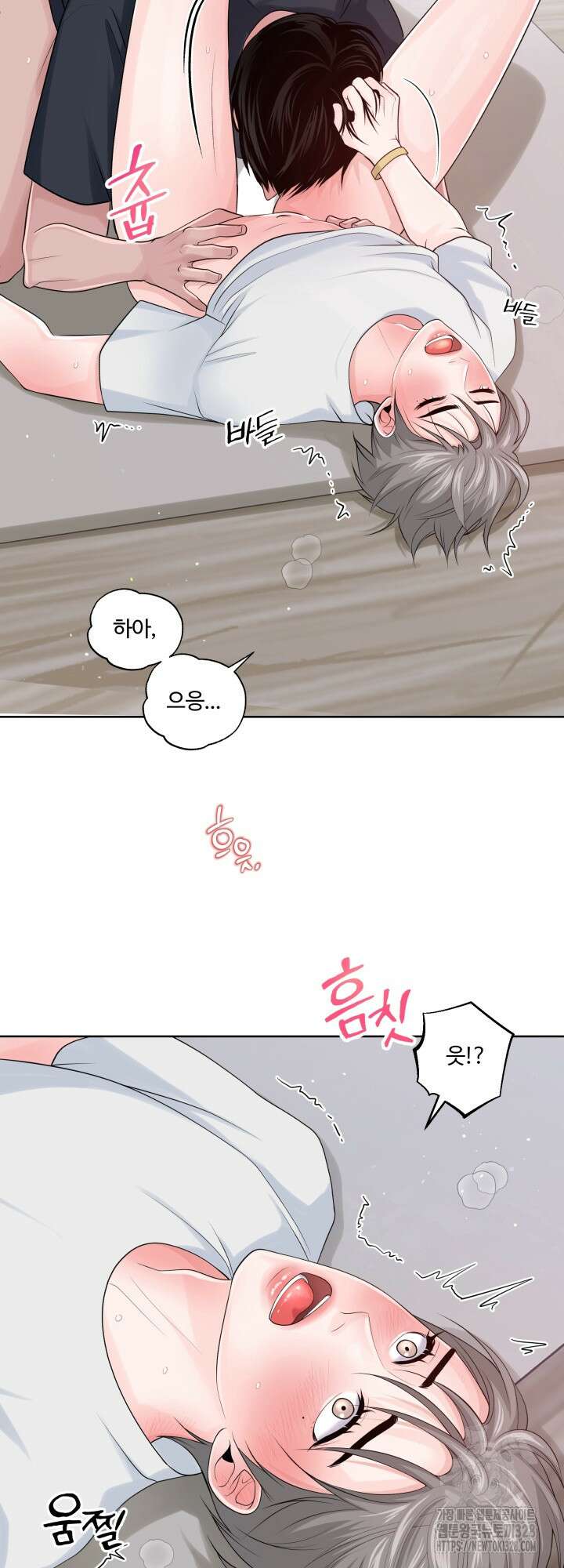 갓츄! 아일랜드 17화 3