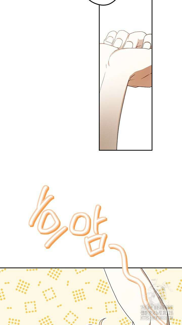 넷카마 펀치!!!79화 3