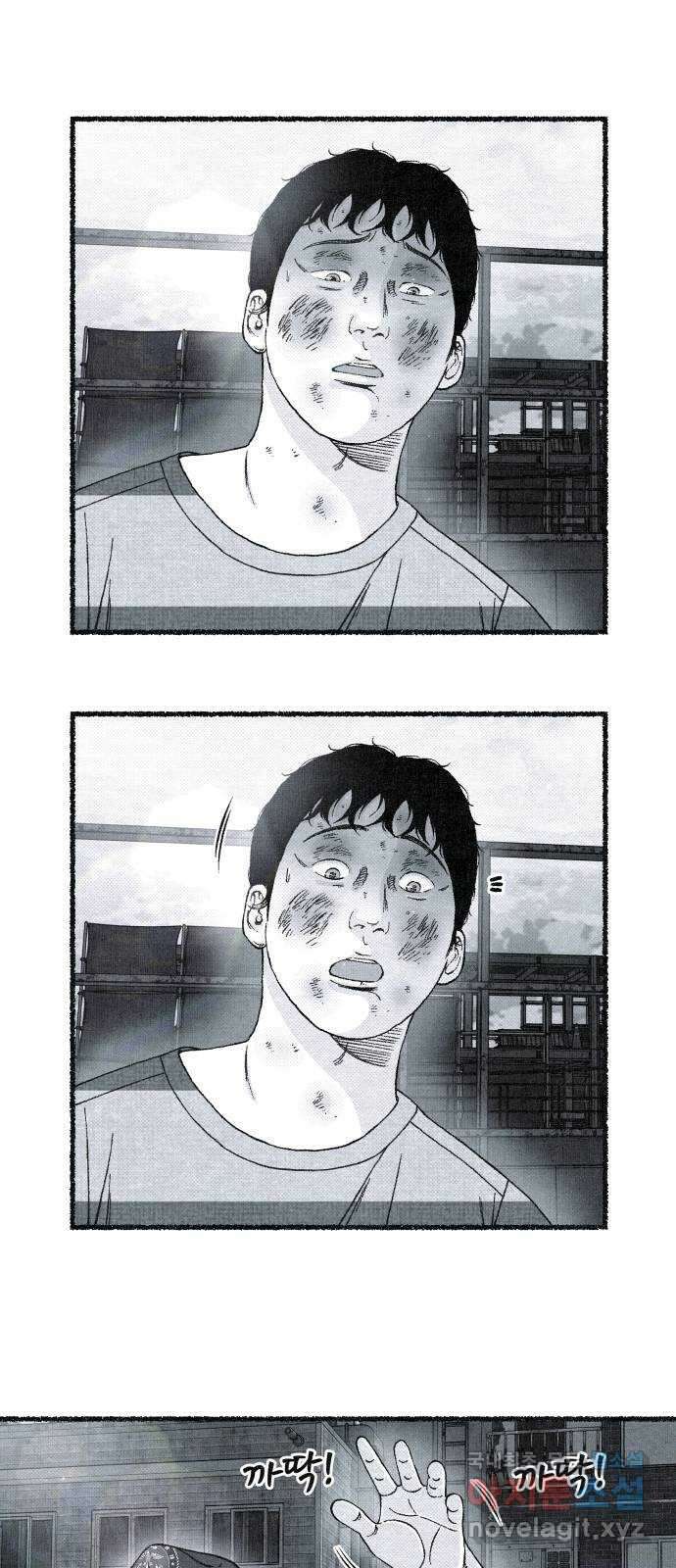 벌집 14화 17