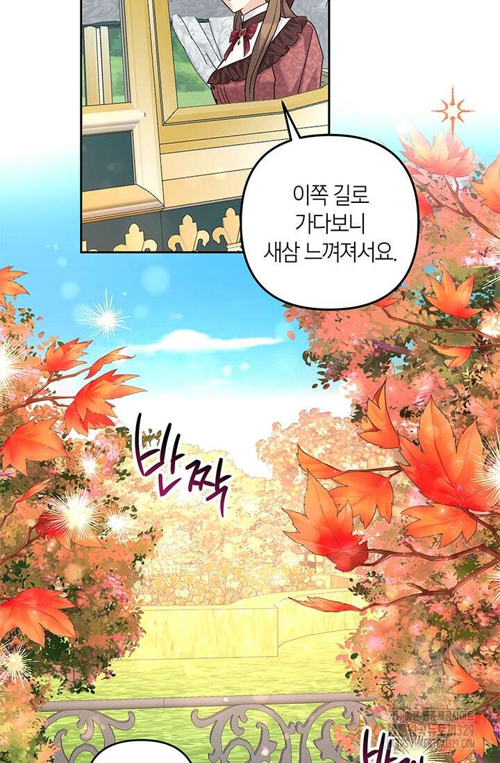 번데기 속 고양이 62화 21