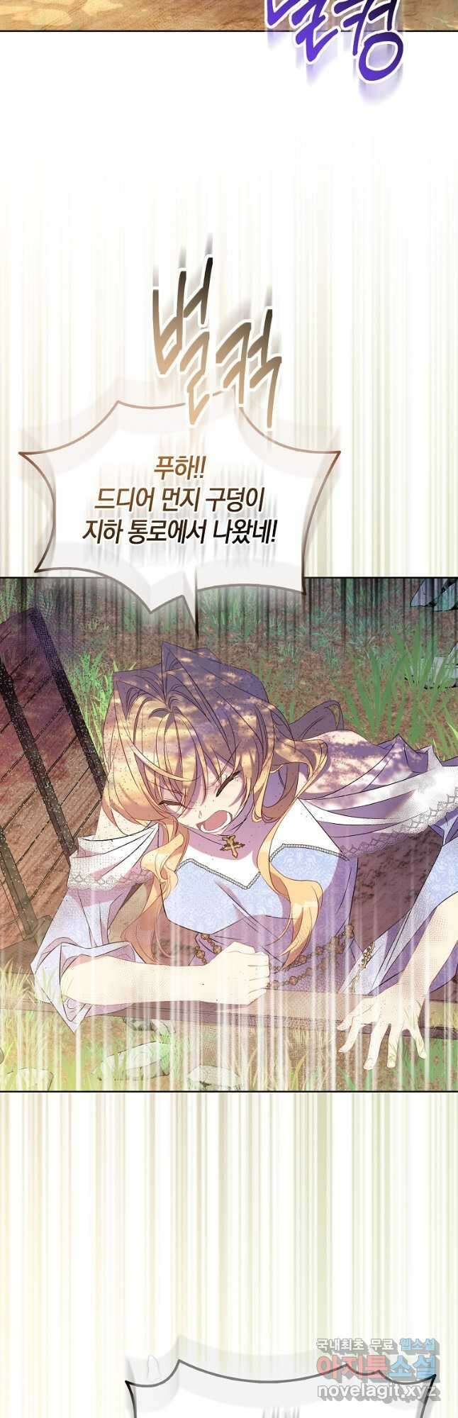 가짜 성녀인데 신들이 집착한다 73화 2