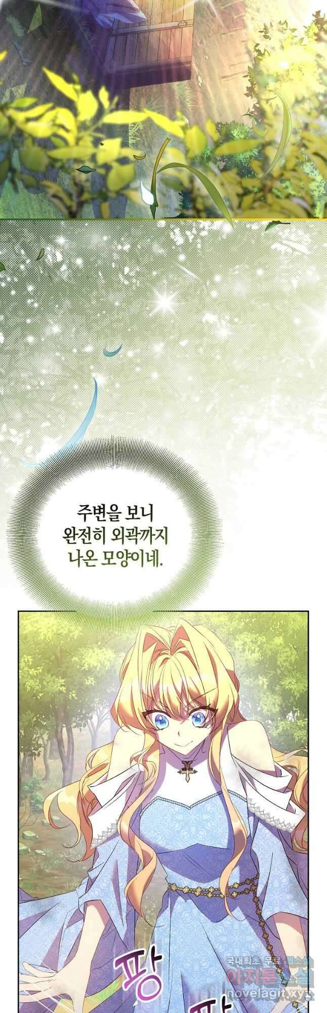 가짜 성녀인데 신들이 집착한다 73화 5