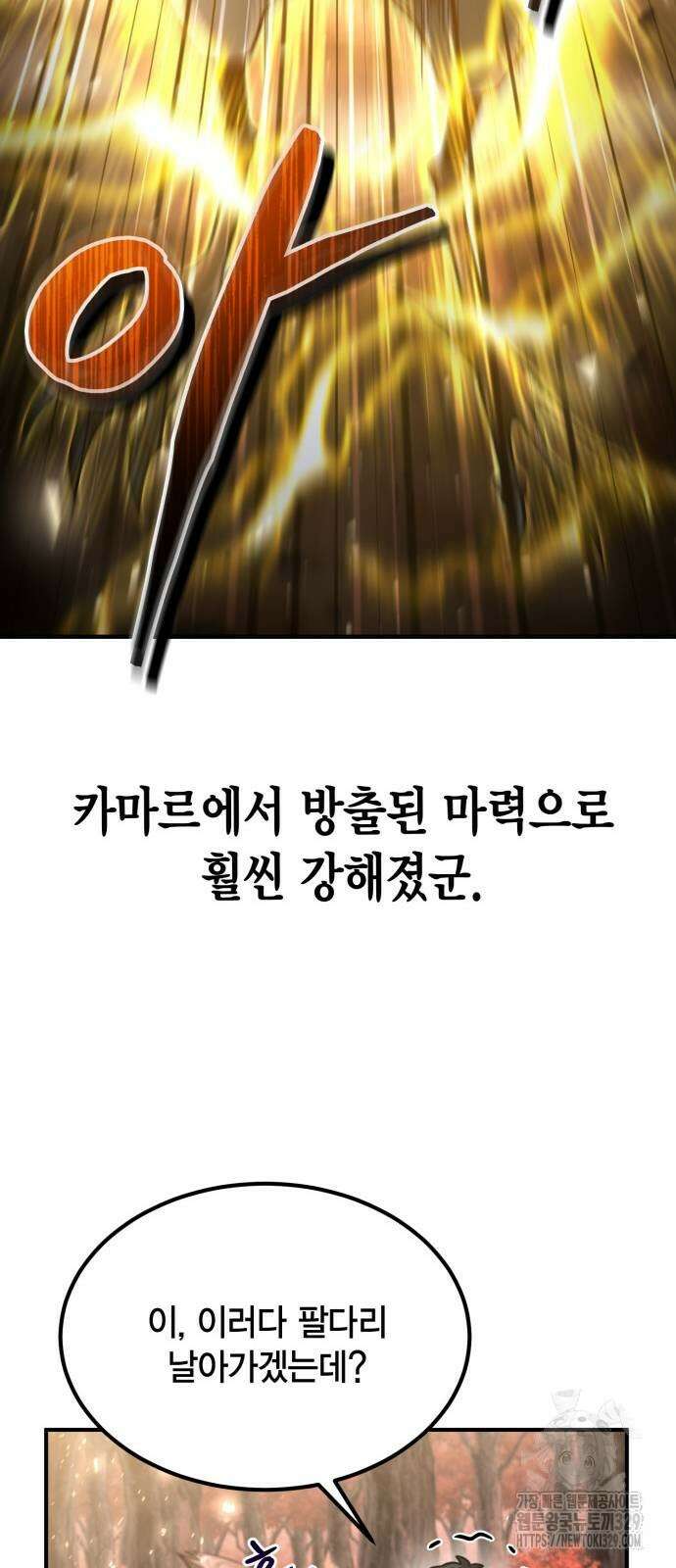 야매 힐러로 사는 법 53화 10