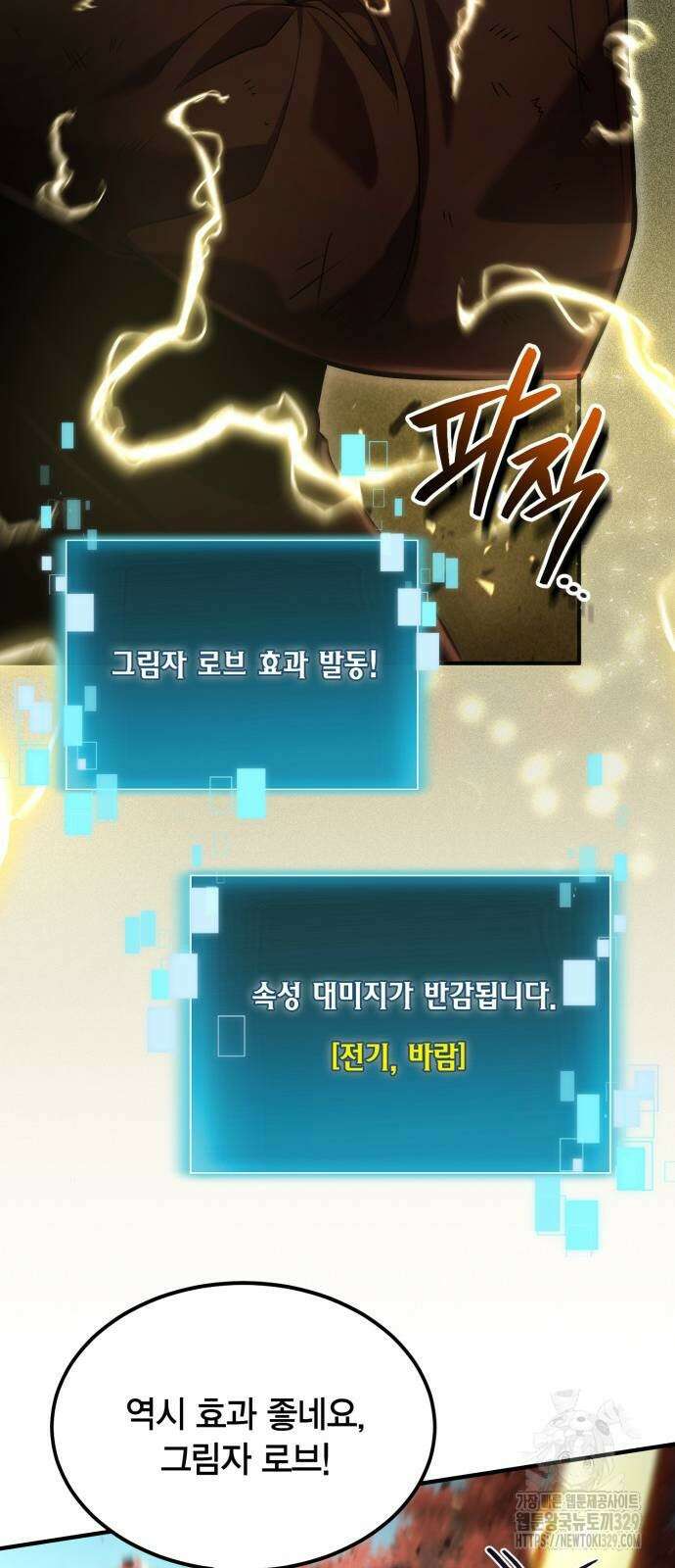 야매 힐러로 사는 법 53화 21