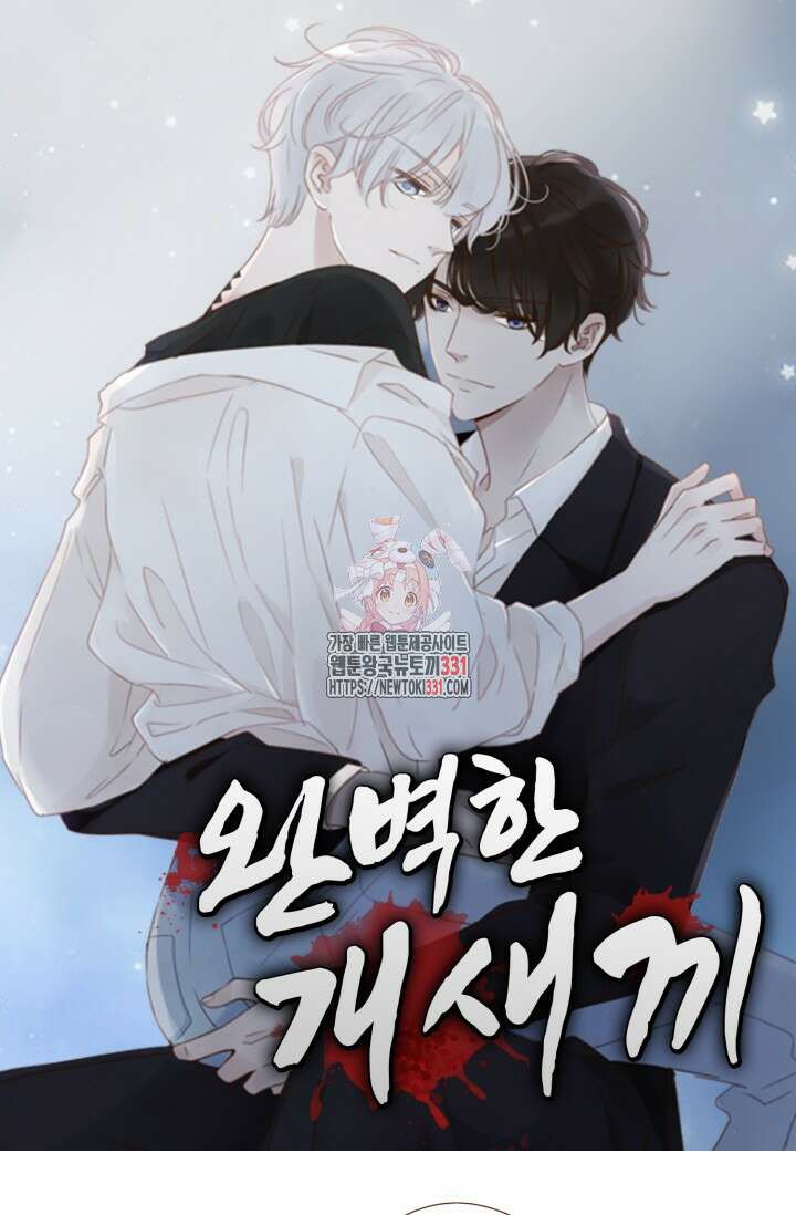 완벽한 개새끼 11화 1