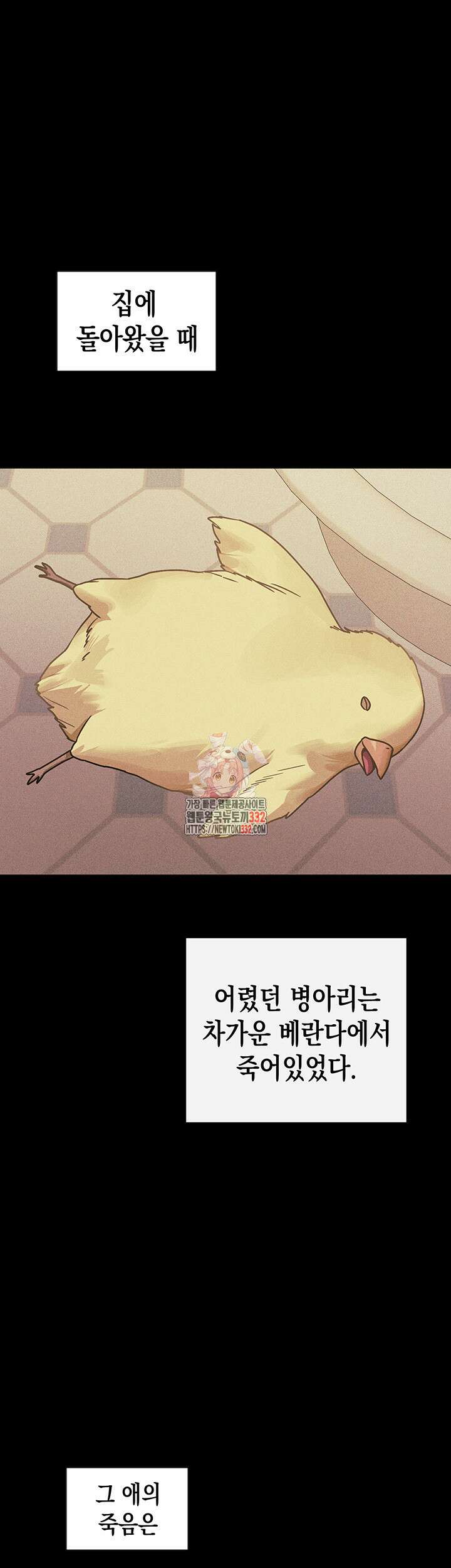 건물주 누나 137화 완결 1