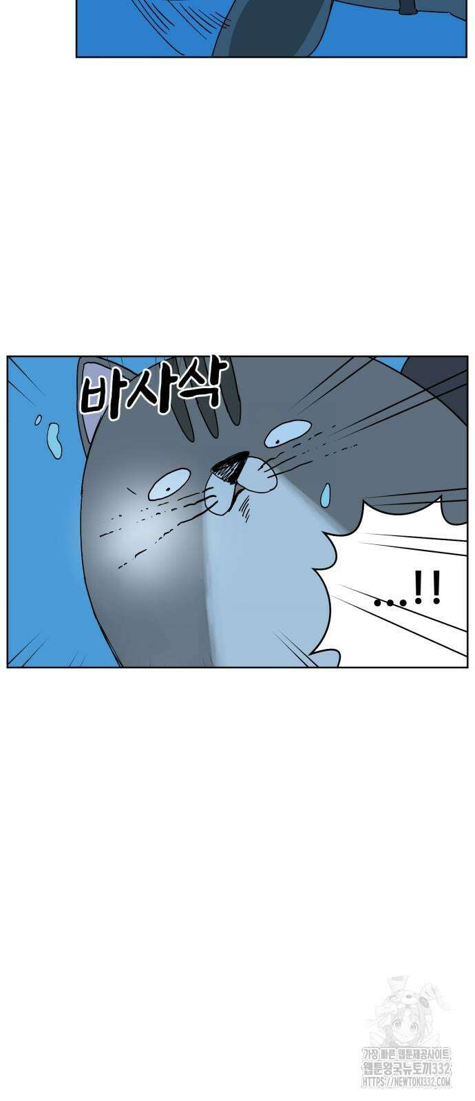 괴양이 41화 11