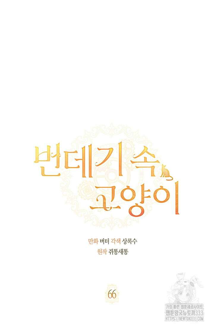 번데기 속 고양이 66화 18