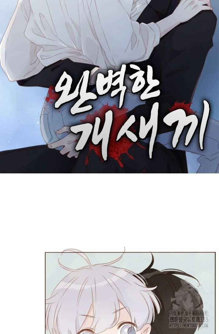 완벽한 개새끼 28화 6