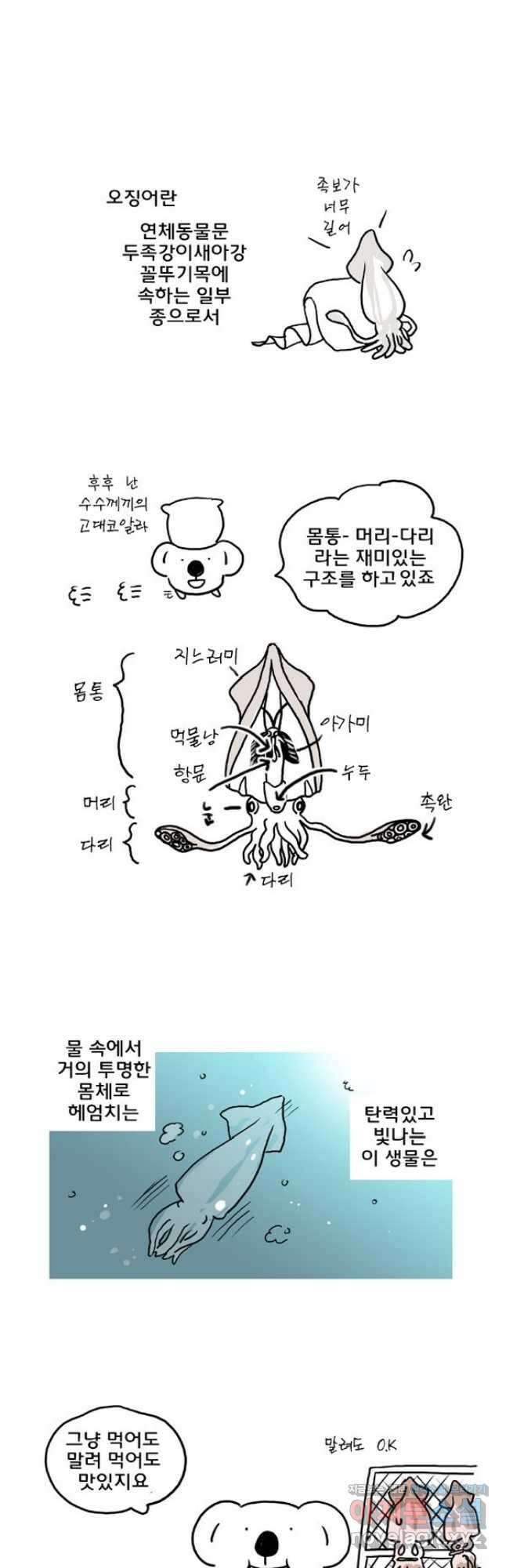 코알랄라 72화 조미오징어 3