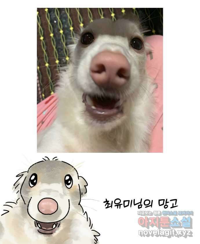 강아지는 멍멍하고 짖지 않아! 89화 - 봉사 활동을 하자! 1 22