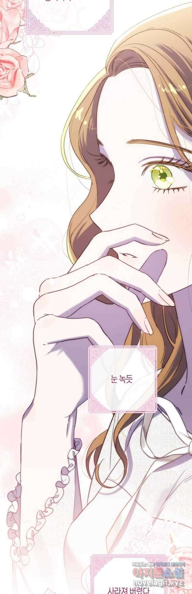 흑막 남편과의 이혼에 실패한 것 같다 88화 53