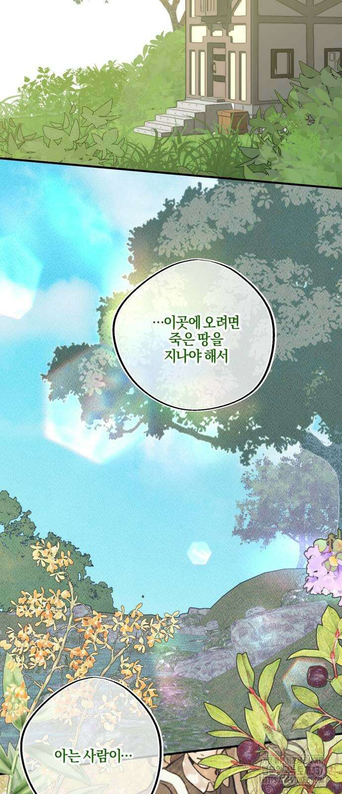 녹빛자정의 연인 17화 38