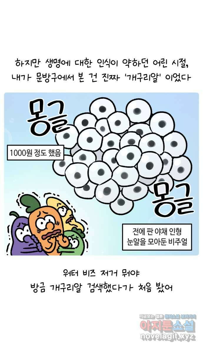 안녕, 나의 수집 146. 개구리 모형 2