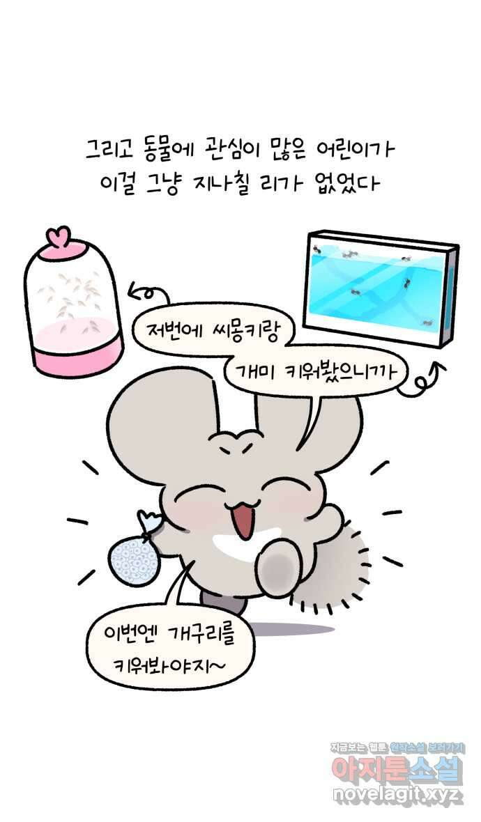 안녕, 나의 수집 146. 개구리 모형 3