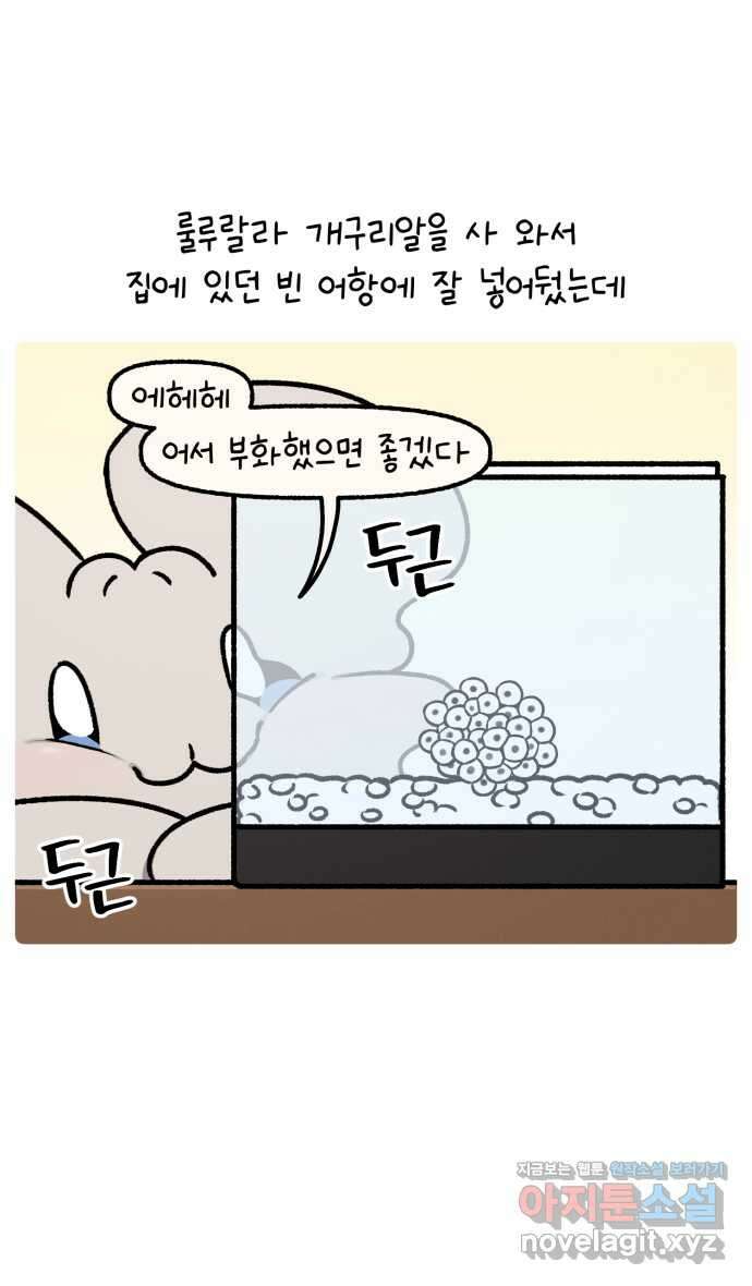 안녕, 나의 수집 146. 개구리 모형 4