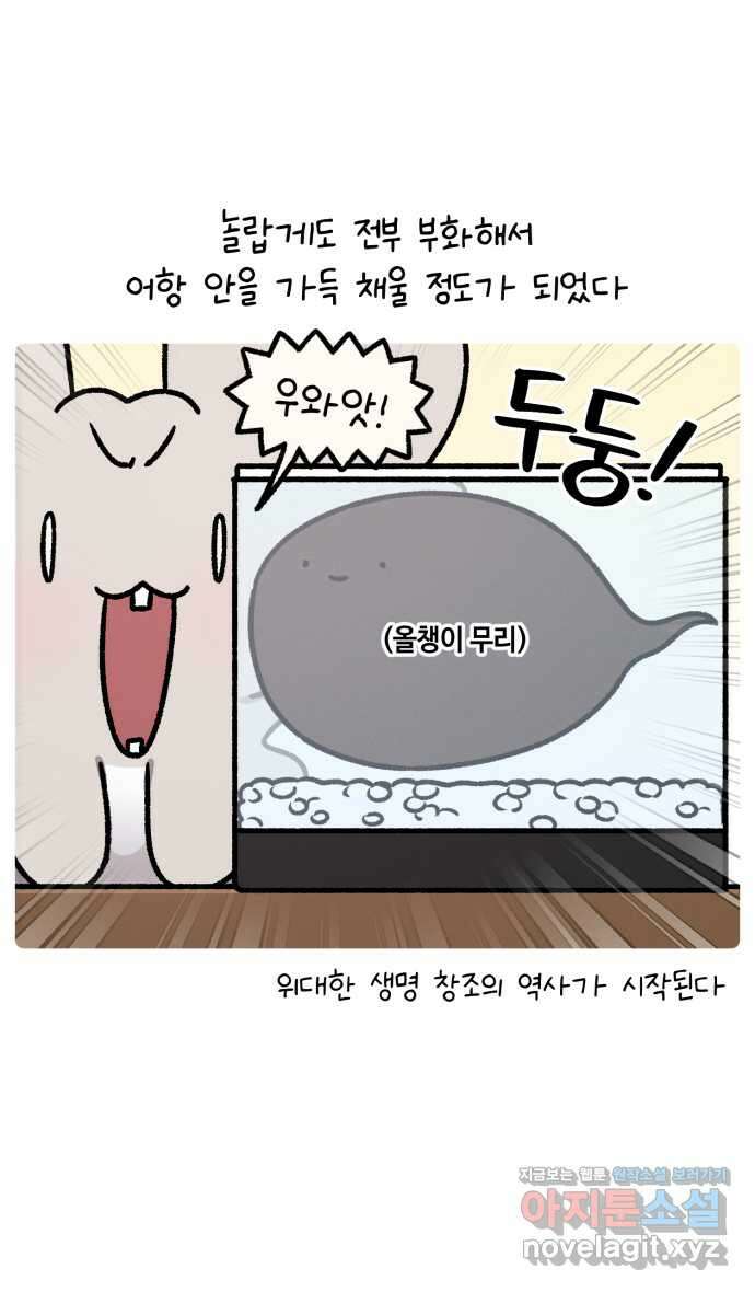 안녕, 나의 수집 146. 개구리 모형 5
