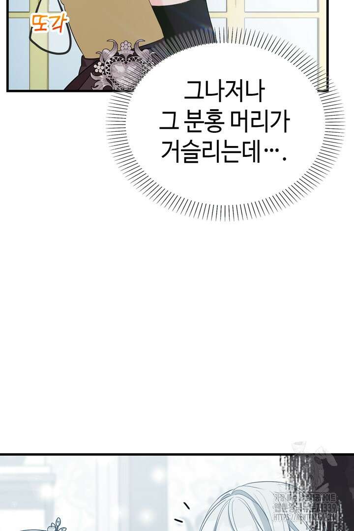 쫓아오지 마세요, 남주님! 41화 11