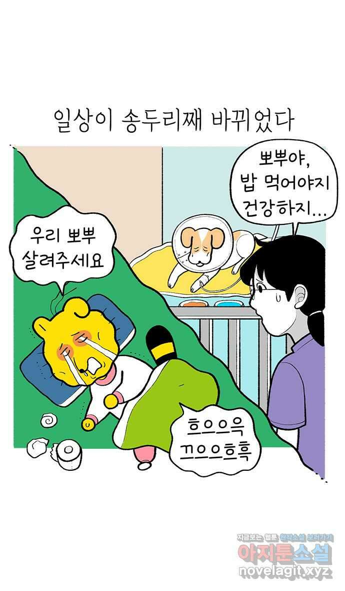 루루라라 우리네 인생 165화 기나긴 치료 1