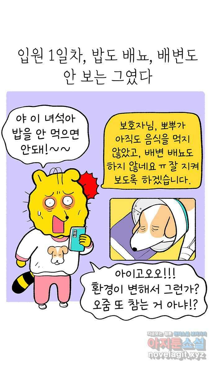 루루라라 우리네 인생 165화 기나긴 치료 4