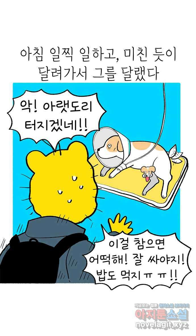 루루라라 우리네 인생 165화 기나긴 치료 5
