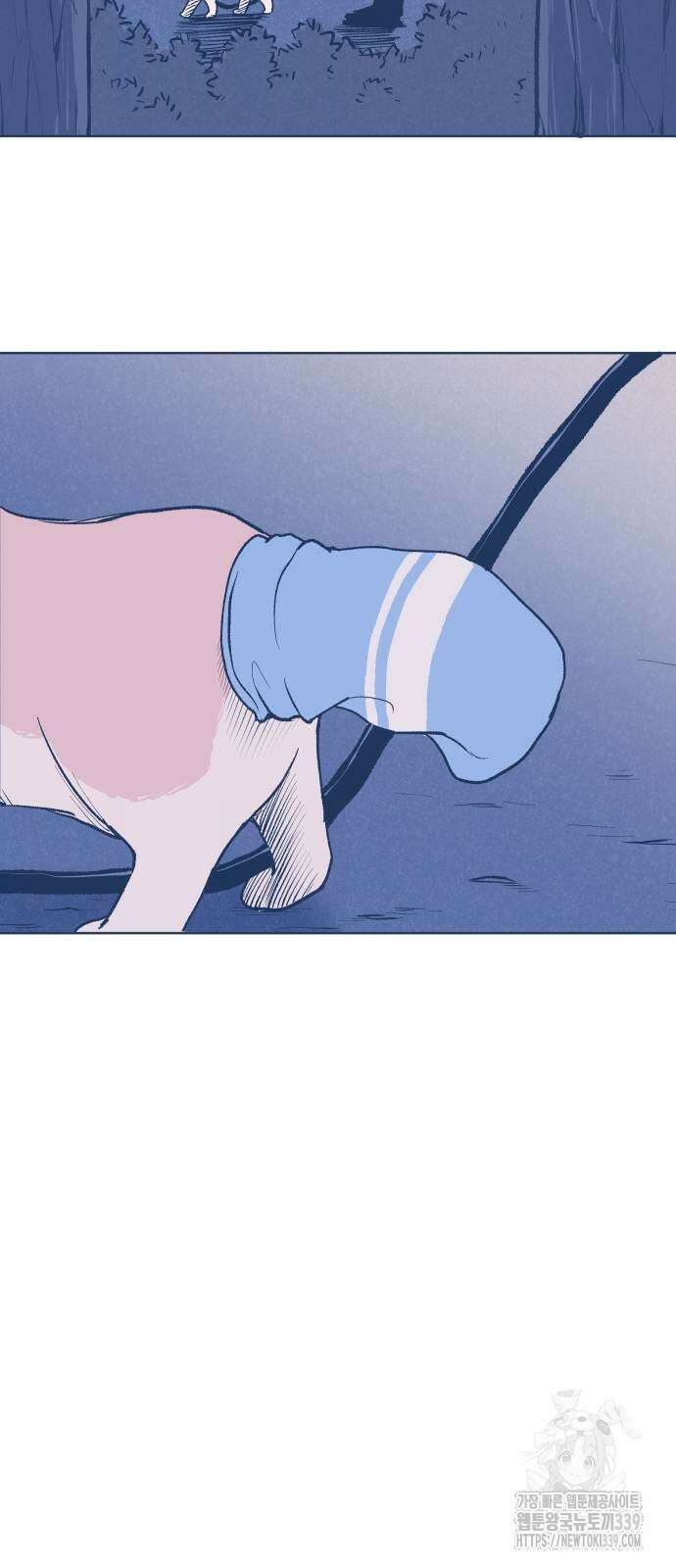 반려짐승 30화 11