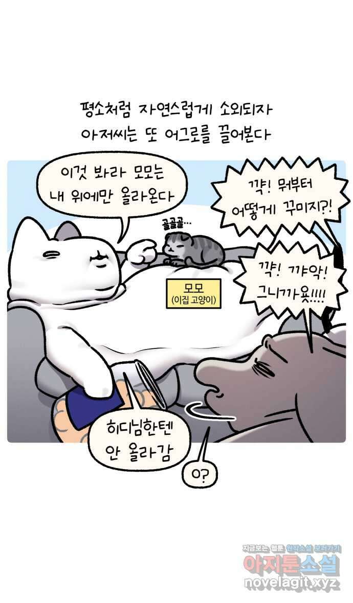 안녕, 나의 수집 150. 네트망 5