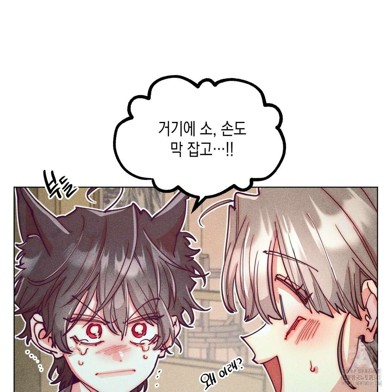 남주들의 첫날밤을 수집합니다 12화 49