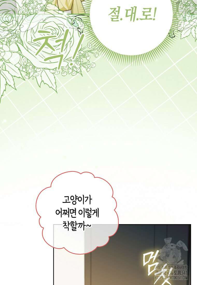 악역에 빙의했지만, 고양이나 키울래요 14화 10