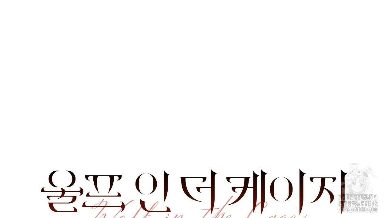울프 인 더 케이지 11화 22