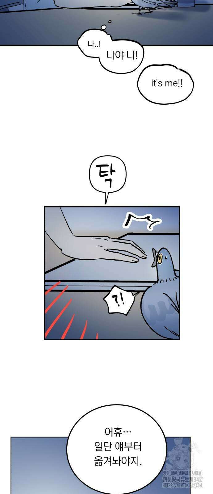 성북구 비둘기 이헌서 4화 6