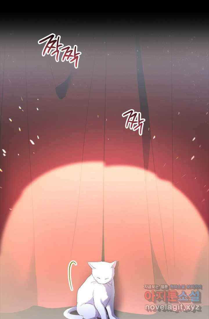 번데기 속 고양이 74화 [완결] 115