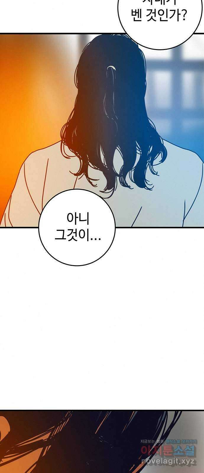 서울밤피어 66화 15