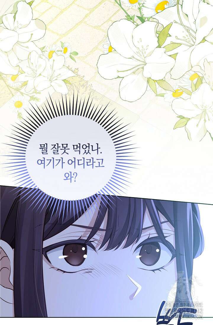 회귀한 영애에게 용서란 없습니다 11화 3