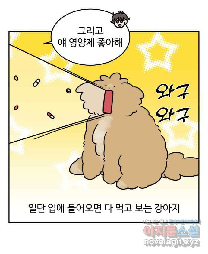 강아지는 멍멍하고 짖지 않아! 105화 - 약 먹이기 3