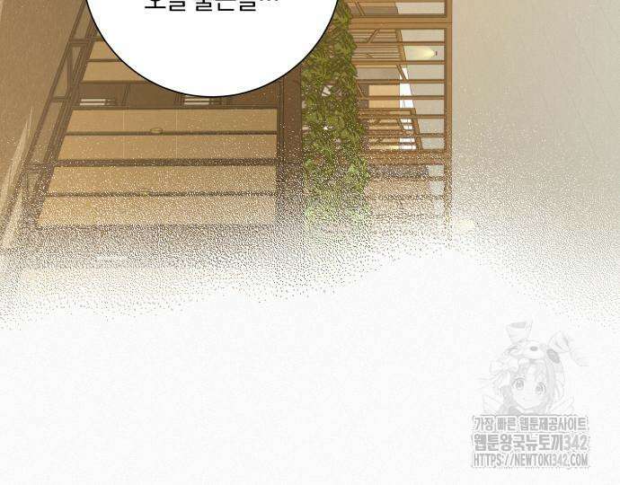 작전명 순정 102화 11