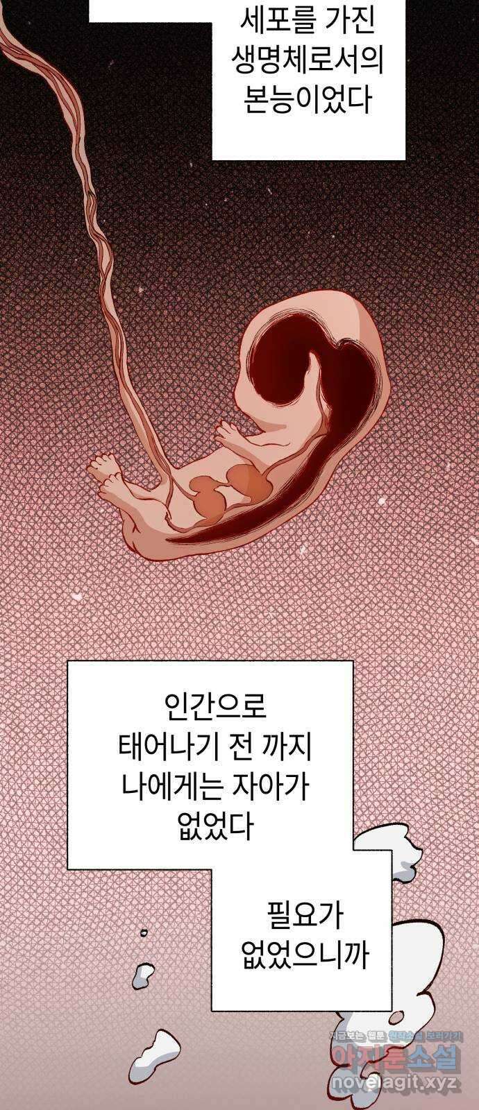 미시령 166화 반구제기-25- 21